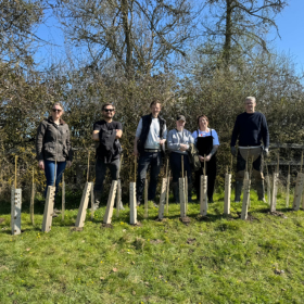 Team Widgit planting trees in Chesterton