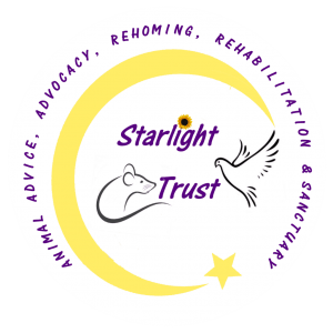 Starlight Trust Logo