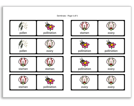 Parts of a Flower Dominoes