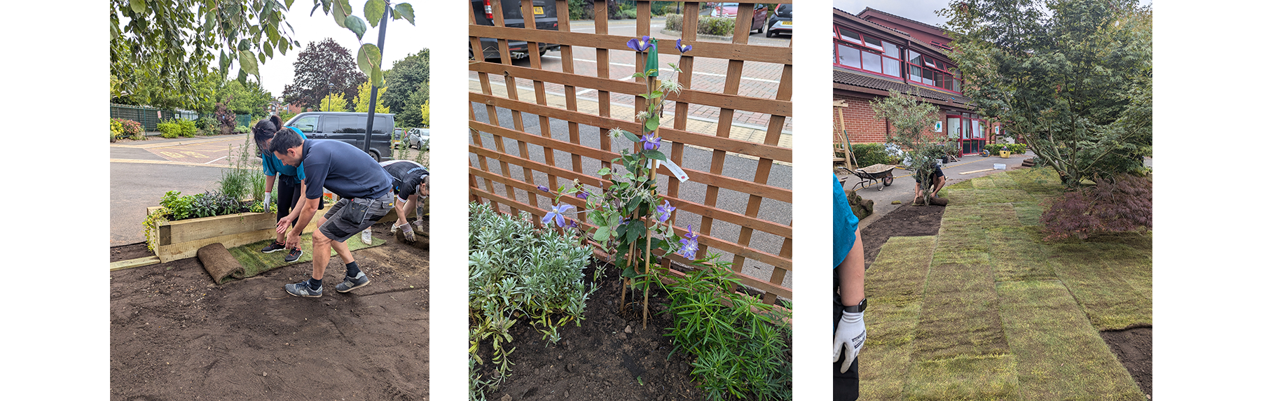 Evergreen School Garden taking shape