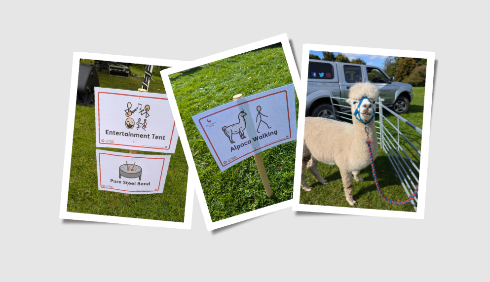 A collage of three photos showing symbols for Entertainment Tent, Pure Steel Band, and Alpaca Walking, together with an alpaca on a leash.