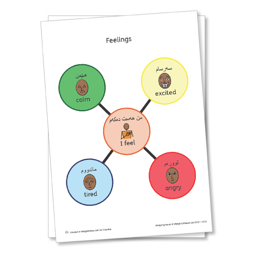 Emotional Regulation Kurdish Resource